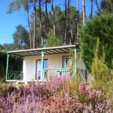 Alpehytte 4 Etoiles - Piscine - Eeecid